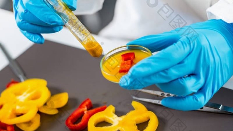 小餐饮供应链采购平台：揭秘其背后的优与劣